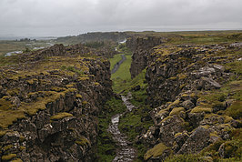 DSC02767 -1_t.jpg